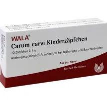 Wala Carum carvi Kinderzäpfchen