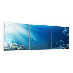 DEQORI Glasbild 'Korallenriff-Taucher', 'Korallenriff-Taucher', Glas Wandbild Bild schwebend modern blau