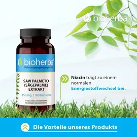 Bioherba Saw Palmeto (Sägepalme) Kapseln 100 St.