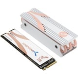 Sabrent M.2 NVMe SSD 2TB mit Kühlkörper Gen 4, Internes Solid State 4800 MB/s Lesen, PCIe 4.0 2280, intern Festplatte Extreme Performance kompatibel mit PCs, NUCs Laptops und desktops