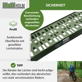 Baumarktplus TRUTZHOLM 1 x Auffahrrampe klappbar 228 cm Traglast 340 kg Alu oliv gelocht Motorradrampe Verladerampe