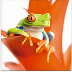 Glasbild ARTLAND "Frosch auf seinem Thron", orange (farbe bild(er): orange), B:20cm H:20cm, Bilder, in verschiedenen Größen
