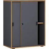 VCM Büroschrank mit 2 Fächern moderner Aktenschrank Anthrazit, Honigeiche, Holzwerkstoff, 1 Fächer, 60x74x37 cm abschließbar, Arbeitszimmer, Aktenschränke