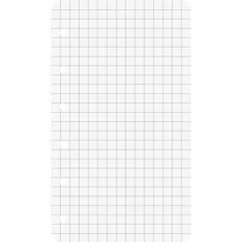 Brunnen Ringbucheinlagen 7,4 x 12,8 cm kariert, 50 Blatt