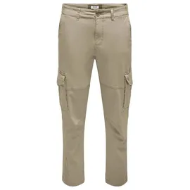 Only & Sons Hose Dean Beige 29