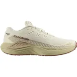 Salomon Drx Defy Grvl Herren Vanilla Ice/Green Haze/White Pepper 44
