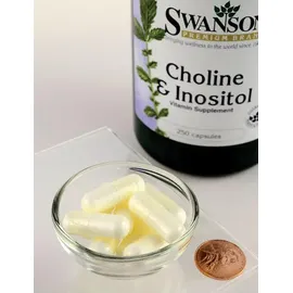 Swanson Cholin & Inositol Kapseln 250 St.