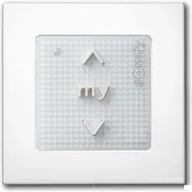 SOMFY Smoove Origin RTS mit Drucktasten inkl. Rahmen Nr. 1810