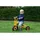 rabo Tricycles Dreirad ""Trike"", 1–4 Jahre