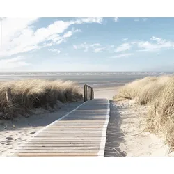 Reinders! Deco-Panel »Nordsee Dünen« Reinders! Farbe Bild(er): khaki