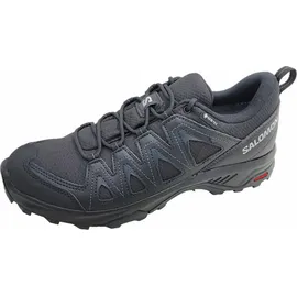 Salomon X Braze Gore-Tex Black / Black / Phantom 42