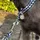 EQuest Halsband & Führleine Ultimo für Hunde im Set - Blue Boy, 45 cm