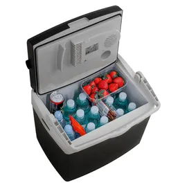 Adler Kühlbox AD 8091 25 l