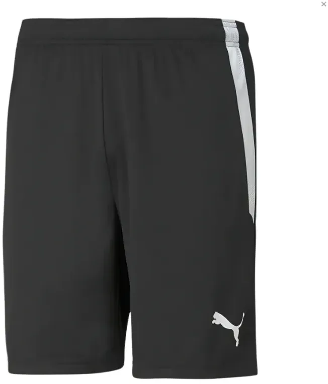 Puma (8) Liga Trainingsshorts M