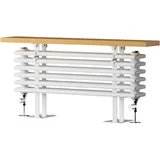 EMKE Heizkörper Horizontal mit praktischer Heizabdeckung Weiß 100x48cm 674W