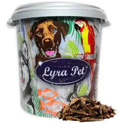 5 kg Lyra Pet® Heuschrecken getrocknet in 30 L Tonne