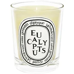 Diptyque Standard Kerze Eucalyptus 190 g Kerzen 