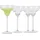 alpina design Margarita Glas 0,25 l 4 St.