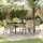 vidaXL Garten Essgruppe 5-tlg. Braun