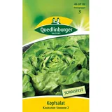 Quedlinburger Kopf Salat ''Kagraner Sommer 2''