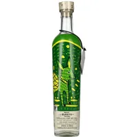 Burrito Fiestero Mezcal Verde DOP 53,9% Vol. 0,7l