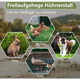 Thanaddo Freilaufgehege 2 x 2 x 2 m silber