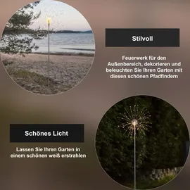 Star Trading Firework Outdoor