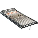 Dieter Knoll Lattenrost, Holz, Buche,Birke, Buche, 120x200 cm, Austria Gütezeichen, Made in Austria, Über- und Sondergrößen erhältlich, Schulterabsenkung, bewegliche Leistenlagerung, Federleisten mit Duokappen, individuelle Liegehärteeinstellung, verstellbar, alternative Größen erhältlich, Schlafzimmer, Lattenroste, Lattenrost verstellbar