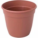 Siena Garden 1x Standard-Pflanztopf 20 x 17,3cm terracotta Blumentopf Kunststoff Pflanzkübel