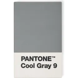 Pantone Kartenetui grau