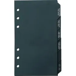 RIDO Ersatzeinlage Hauptregister A6 7066802 für Timing 2