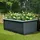Konifera Hochbeet Asturias 200 x 100 x 76 cm