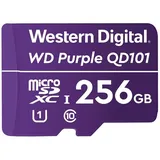 Western Digital WD Purple SC QD101 WDD256G1P0C - Flash-Speicherkarte