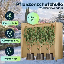 ideoon garden Pflanzenschutzhülle Winterschutz 200 x 180 x 70 cm