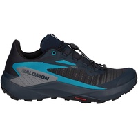 Salomon Genesis Herren Traillaufschuhe grau | 42 2/3