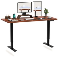 FLEXISPOT Schreibtisch EB2-SET, Höhenverstellbarer Schreibtisch, Dual-Motor & 2-FACH-TELESKOP schwarz 120 cm x 60 cm