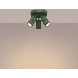 Licht-Erlebnisse Sollux