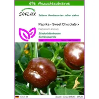 SAFLAX - Paprika - Sweet Chocolate x - 10