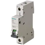 Siemens (5SL6104-6)