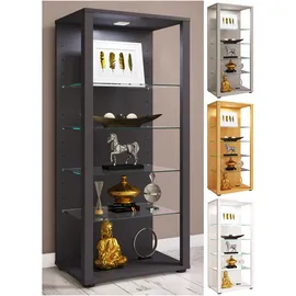 VCM Standvitrine Glasol 52 x 35 x 115 cm Silber