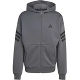 adidas Future Icons 3-Streifen Kapuzenjacke Herren Grau 3XL