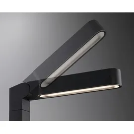 Paulmann LED Pollerleuchte Ito Kunststoff 71,0 cm 1 Stk. Anthrazit