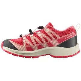 Salomon XA PRO V8 Kinder Rot 38