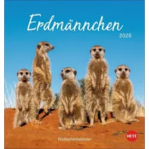 Heye Erdmännchen Postkartenkalender 2026