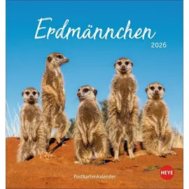 Heye Erdmännchen Postkartenkalender 2026