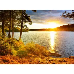 Fototapete PAPERMOON "Algonquin Park Lake", bunt (mehrfarbig), B:4m L:2,6m, Vlies, Tapeten