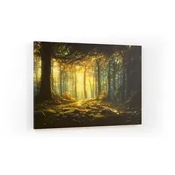 ALLboards Magnettafel CANVASboards 90,0 x 60,0 cm Märchen Wald