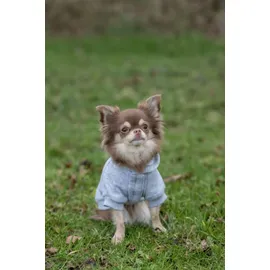 Trixie Hoodie Rainbow Falls Hundepullover 30 cm hellgrau
