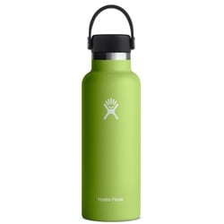 Hydro Flask 18oz Standard Mouth Flex Cap 532ml - seagrass