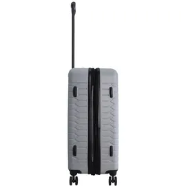 DISCOVERY Koffer REPTILE silber